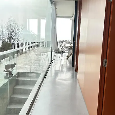 Elegant Cape 알리칸테